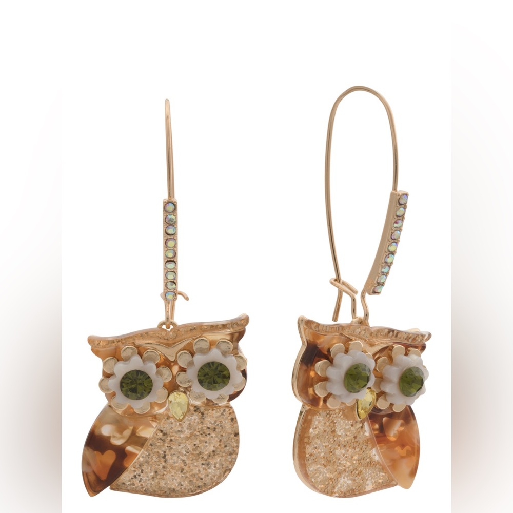 Betsey Johnson Crystal Owl Shepard Hook Earrings